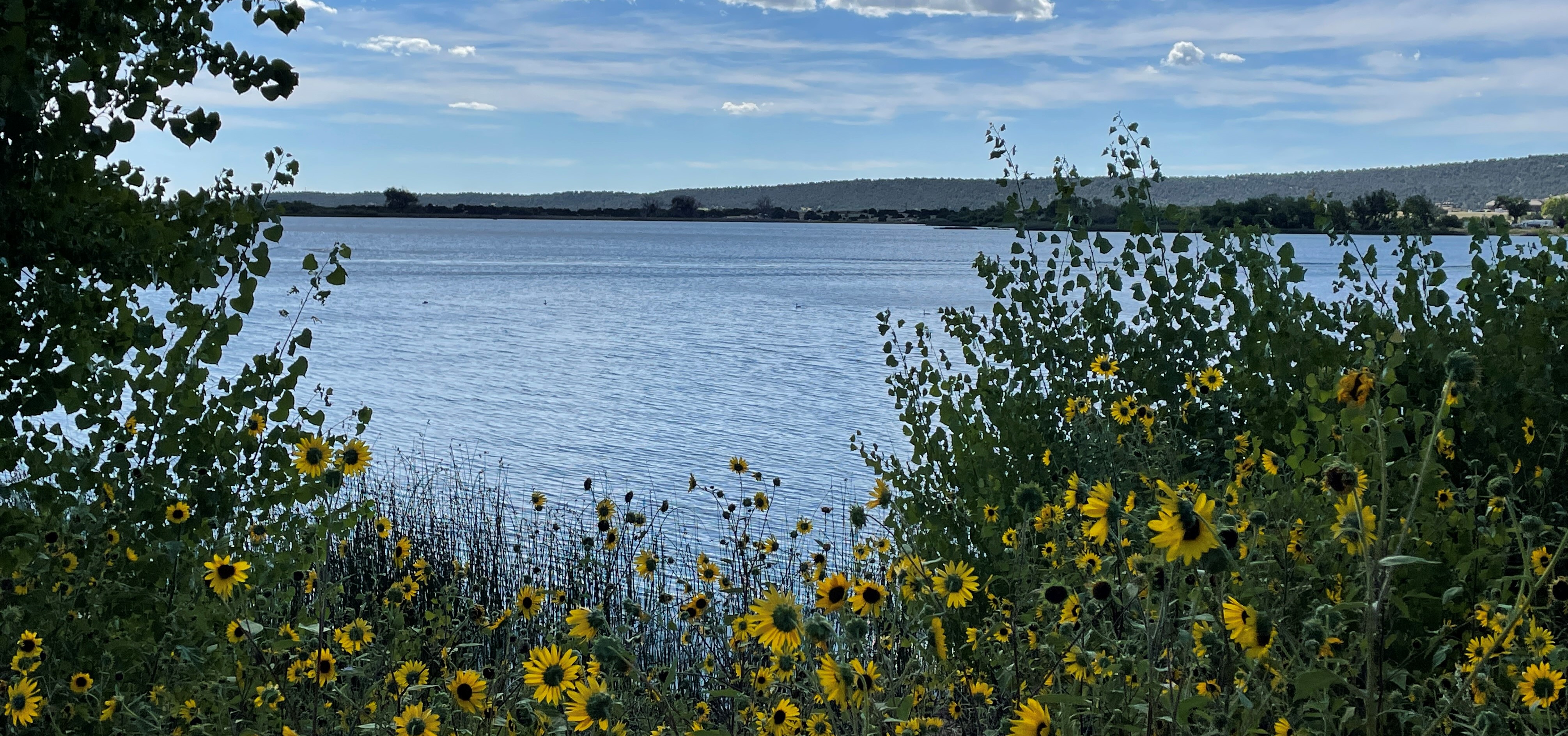 Martin Lake